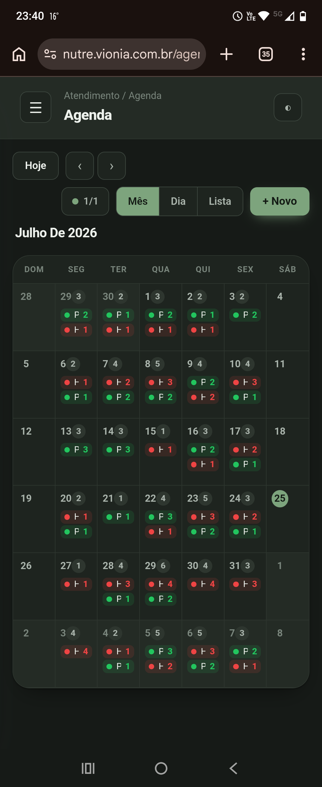 Agenda do mês com cores por profissional, confirmações e faltas.